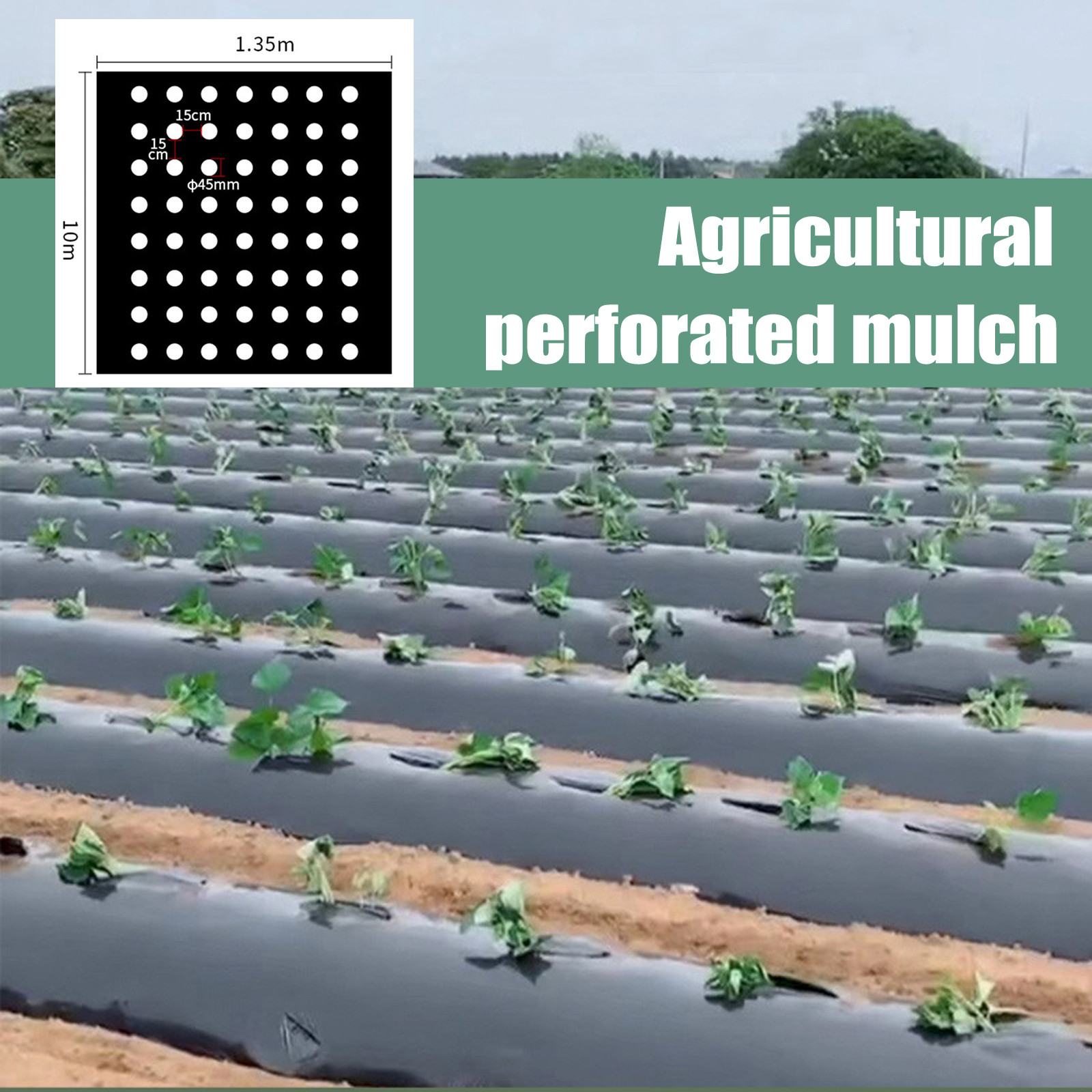 Greenhouse Plastic Film - ฟิล์มคลุมดินแบบมีรูพรุน PE สำหรับงานเกษตร ป้องกันวัชพืช รักษาความร้อน ใช้คลุมสวน