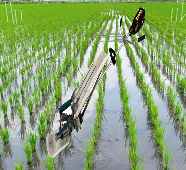 เครื่องปลูกข้าวแบบมือหมุน 1 แถ - Agriculture Farming Rice บทวิจารณ์และราคา