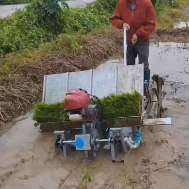 เครื่องปลูกข้าวแบบใช้มือ 4 แถว - Agriculture Farming Rice บทวิจารณ์และราคา