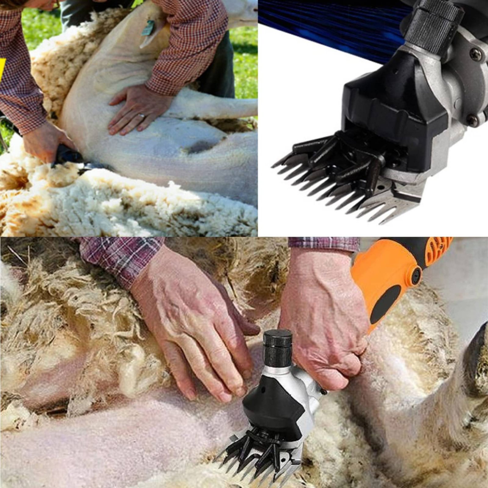 ใบมีดตัดขนแกะแบบตรง 13 ซี่ จำน - Farming Farmer บทวิจารณ์และราคา