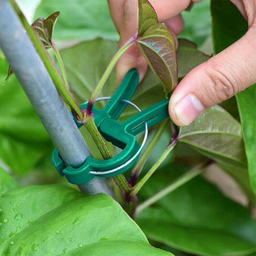 คลิปหนีบต้นไม้สำหรับงานหนัก ใช - Greenhouse Plastic Film บทวิจารณ์และราคา