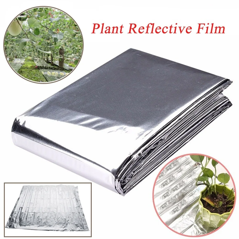 แผ่นฟิล์มไมลาร์สำหรับสวน 5-30  - Greenhouse Plastic Film บทวิจารณ์และราคา